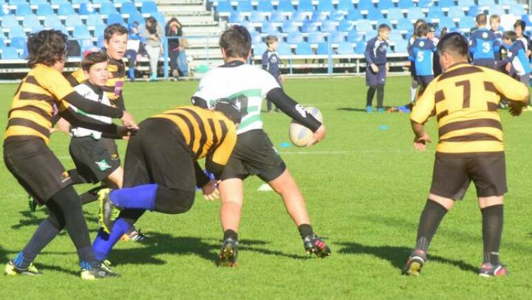 Rugbyștii revin pe gazon